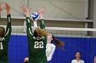 Volleyball vs Babson  Wheaton Women's Volleyball vs Babson College. - Photo by Keith Nordstrom : Wheaton, Volleyball, VB